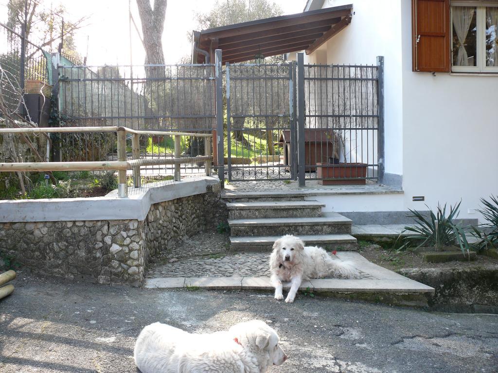 Villetta Aleanto Mentana Exterior foto