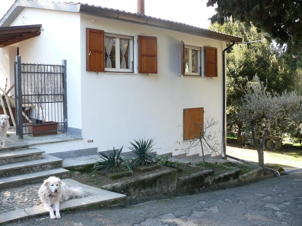 Villetta Aleanto Mentana Exterior foto